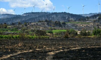 Sous le vent et la sécheresse, le feu de forêt repart de plus belle dans l’Aude