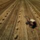 Un compromis pour l'agriculture mais des mesures qui fâchent