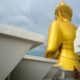 Un enfant de 11 ans provoque la mort de dix moines dans un accident en Thaïlande