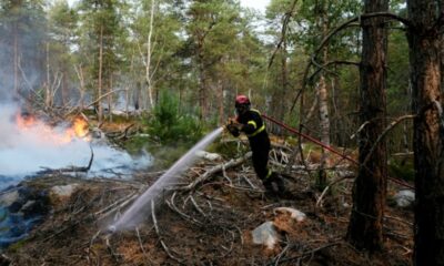 Forêt de Fontainebleau un nouveau suspect arrêté après une tentative d incendie sur un parking
