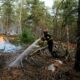 Forêt de Fontainebleau un nouveau suspect arrêté après une tentative d incendie sur un parking