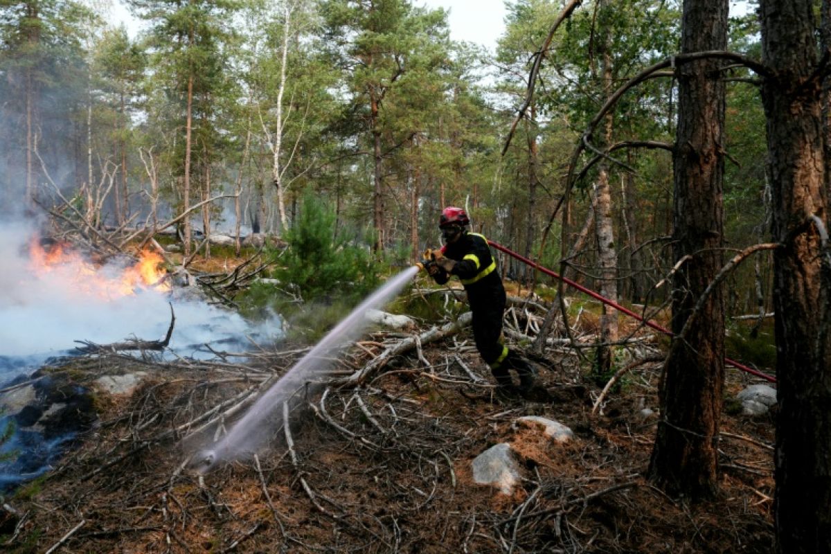 Forêt de Fontainebleau un nouveau suspect arrêté après une tentative d incendie sur un parking