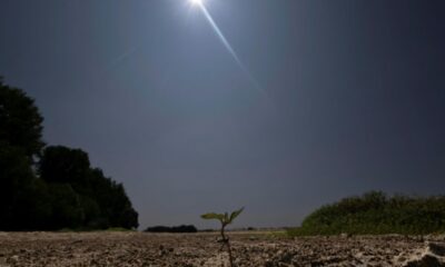 La Loire étouffe sous les 30°C