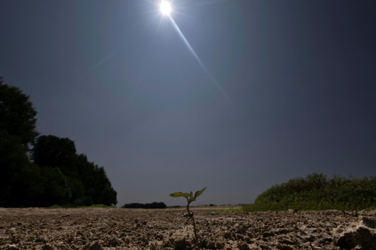 La Loire étouffe sous les 30°C