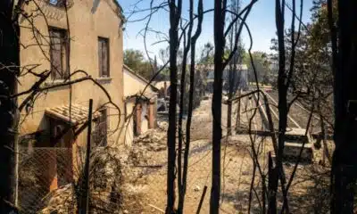La peur au ventre face à l'incendie géant