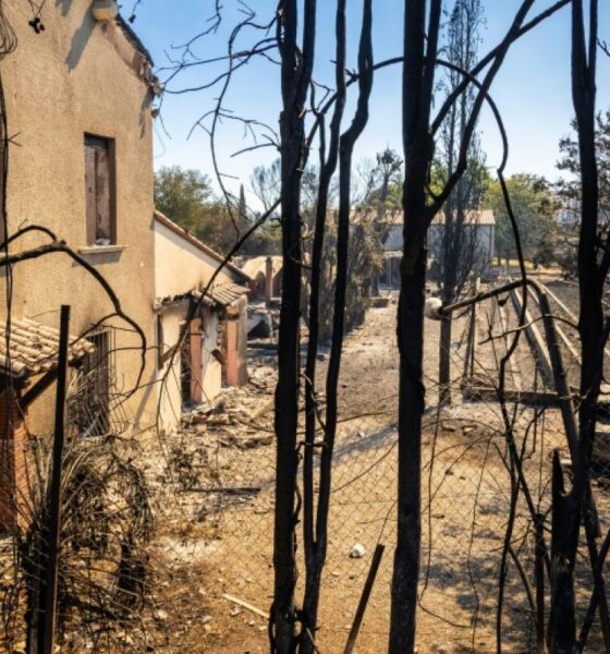 La peur au ventre face à l'incendie géant