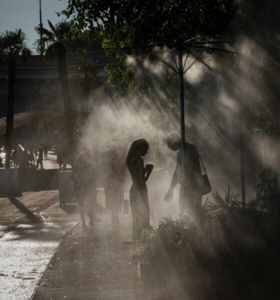Un quart de la France suffoque sous une canicule étouffante