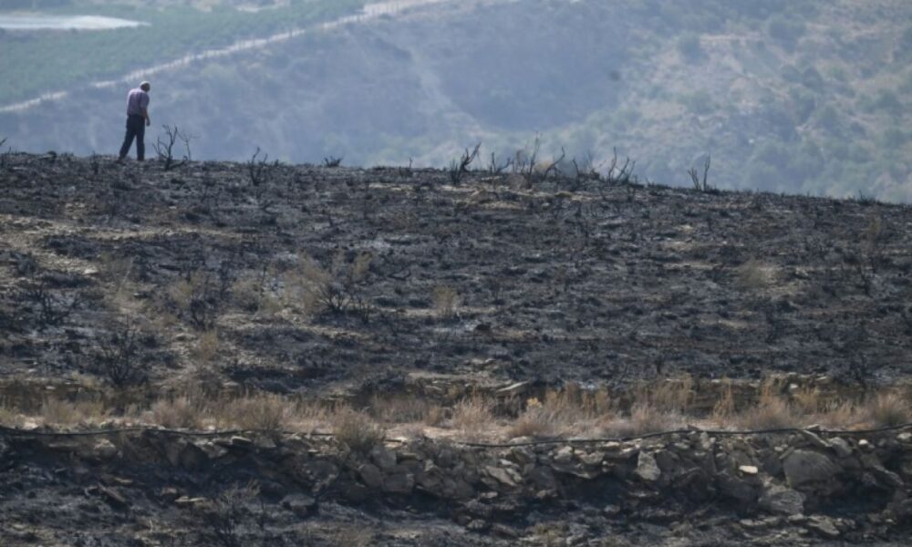 L'alerte aux cloches pour fuir les flammes en Andalousie