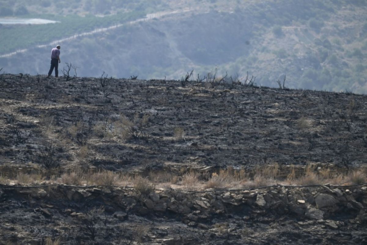 L'alerte aux cloches pour fuir les flammes en Andalousie