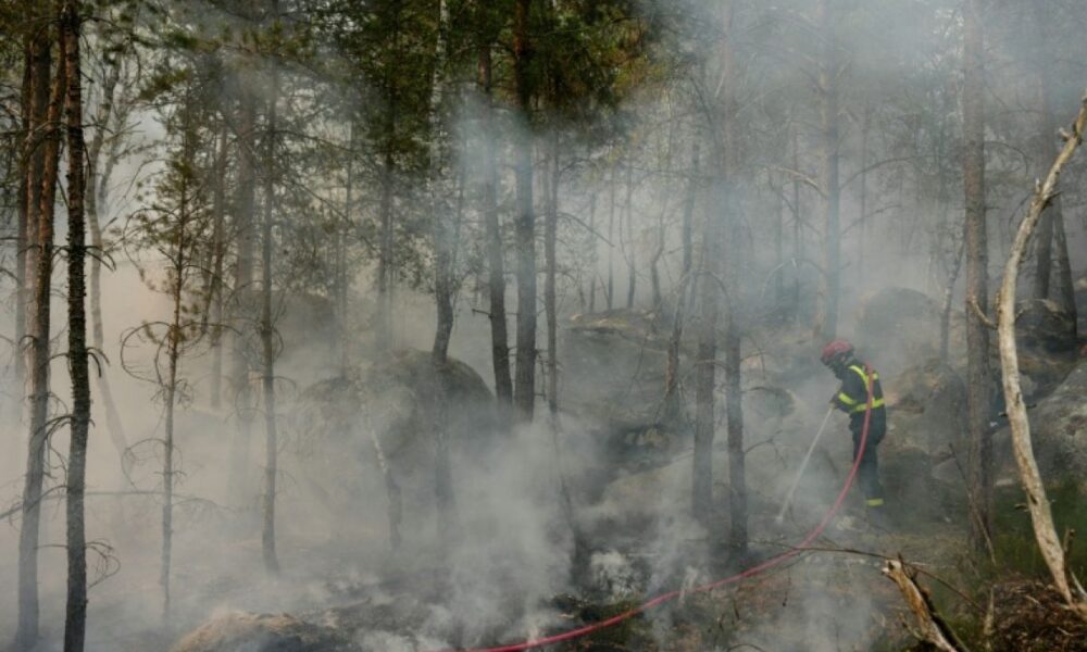 Des flammes dévorent la forêt de Fontainebleau, le poumon vert de l’Île-de-France suffoque