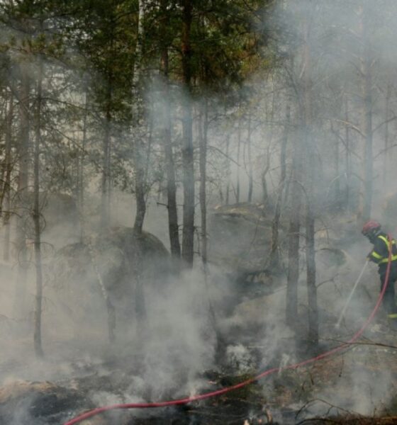 Des flammes dévorent la forêt de Fontainebleau, le poumon vert de l’Île-de-France suffoque