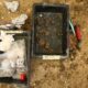 Un trésor fossile de 140 millions d années sort de terre en Charente