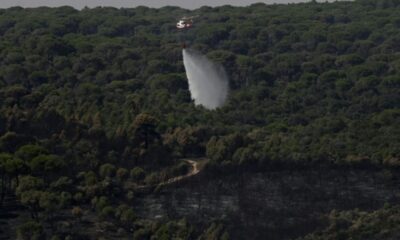 Les évacués de l'incendie de Madrid regagnent leurs maisons