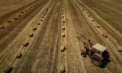 Une nuit sous tension à l'Assemblée sur le retour possible de pesticides interdits