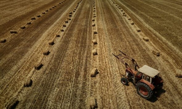 Une nuit sous tension à l'Assemblée sur le retour possible de pesticides interdits