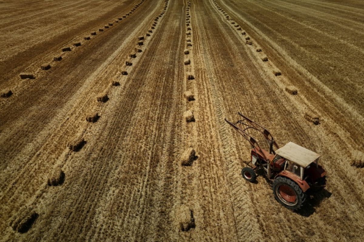Une nuit sous tension à l'Assemblée sur le retour possible de pesticides interdits