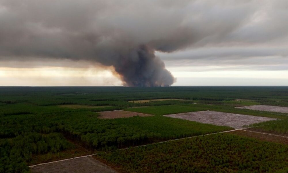 Gironde la forêt des Landes engloutie par un incendie dévastateur