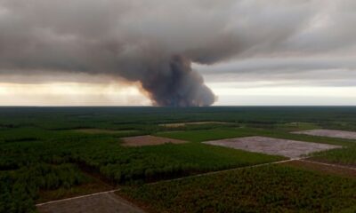 Gironde la forêt des Landes engloutie par un incendie dévastateur