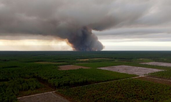 Gironde la forêt des Landes engloutie par un incendie dévastateur