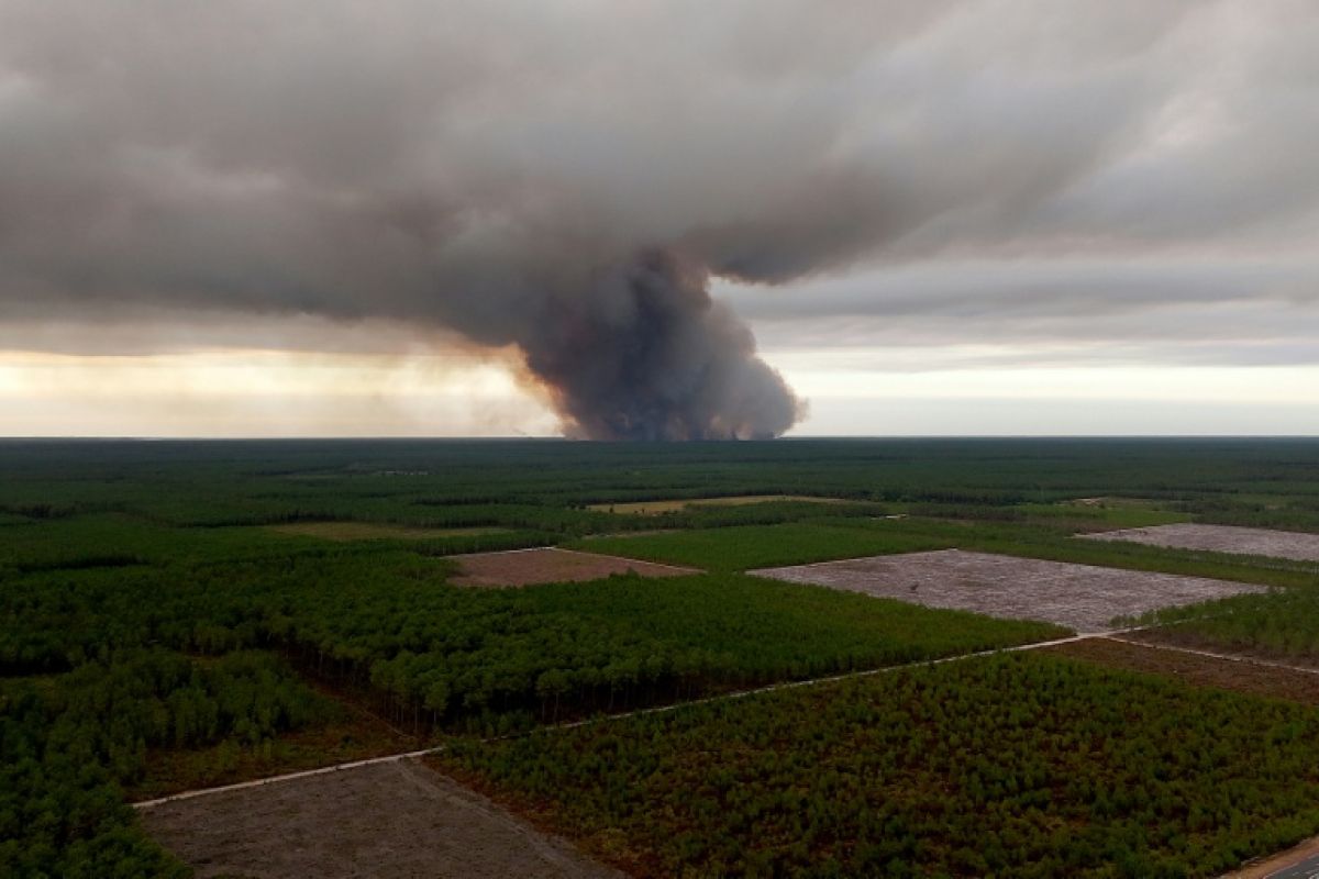Gironde la forêt des Landes engloutie par un incendie dévastateur