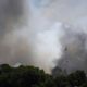 12 morts dans un incendie en Andalousie, un bilan plus lourd que celui de toute l'année 2025