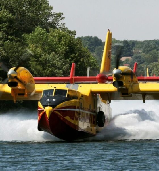 Canadair et vents violents la lutte acharnée contre le feu à Fontainebleau