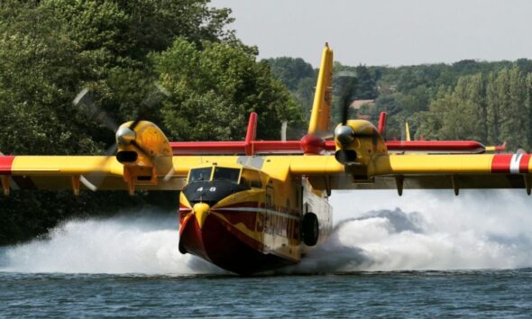 Canadair et vents violents la lutte acharnée contre le feu à Fontainebleau