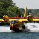 Fontainebleau sous les flammes plus de 1300 hectares ravagés deux suspects arrêtés