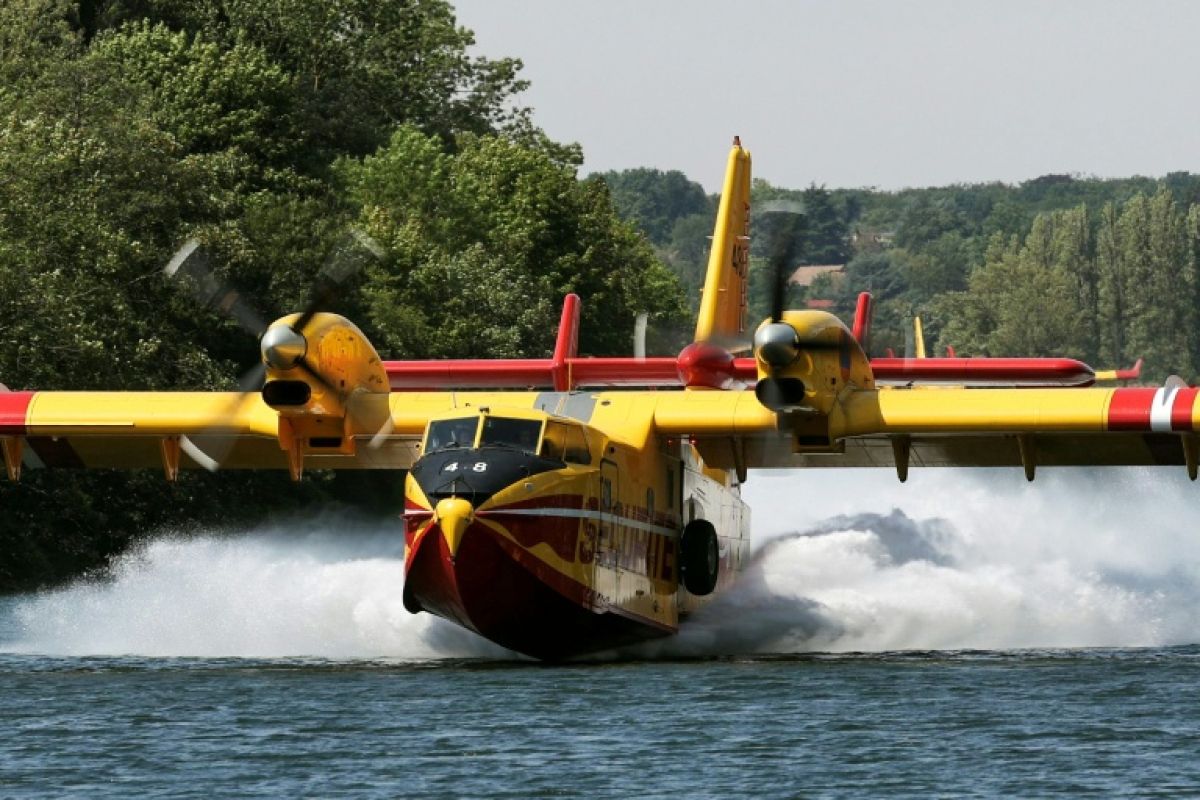 Fontainebleau sous les flammes plus de 1300 hectares ravagés deux suspects arrêtés