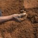 Le rooibos sud-africain part à la conquête de l'espace