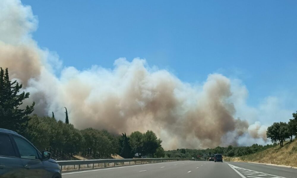 Un incendie géant ravage plus de 500 hectares dans le Gard et coupe l autoroute A9