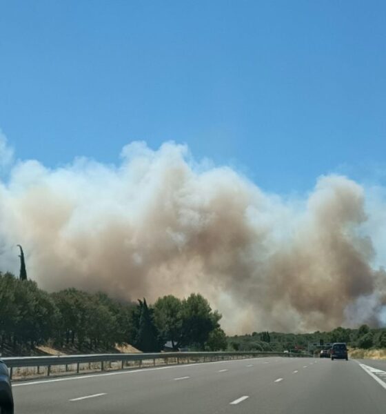 Un incendie géant ravage plus de 500 hectares dans le Gard et coupe l autoroute A9