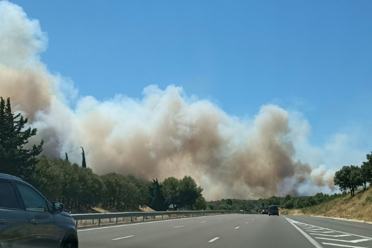 Un incendie géant ravage plus de 500 hectares dans le Gard et coupe l autoroute A9