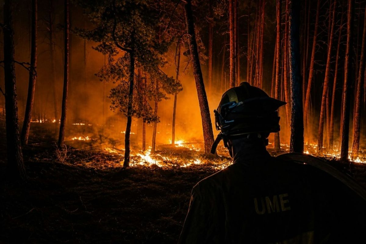 32 000 hectares partent en fumée à une centaine de kilomètres de Madrid