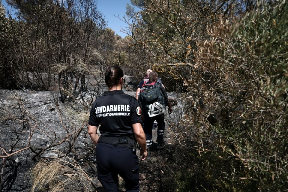 Sur les pistes noircies, la traque des causes d'incendie
