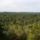 L'incendie qui ravage Fontainebleau réveille le passé de la forêt des rois