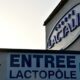 Lactalis muscle son empire fromager au Canada