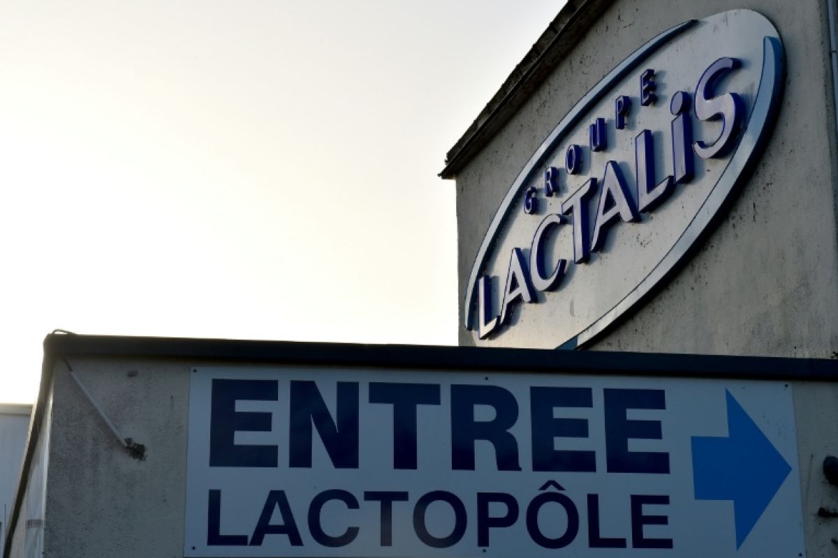 Lactalis muscle son empire fromager au Canada