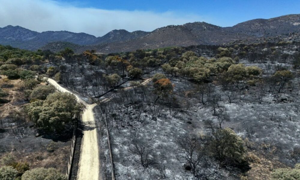 La course contre le vent en Espagne pour sauver Madrid des flammes