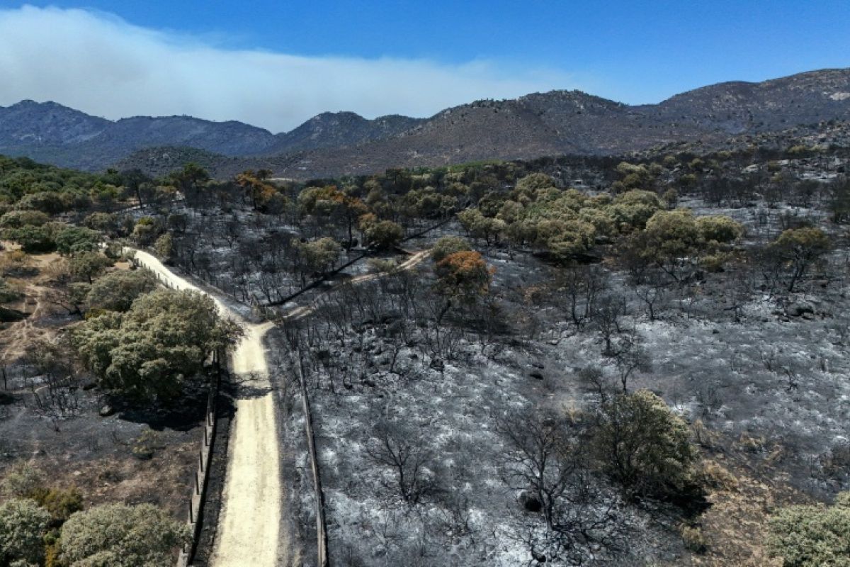 La course contre le vent en Espagne pour sauver Madrid des flammes
