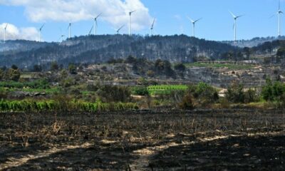 La saison des incendies s'embrase plus tôt que prévu dans le Sud