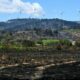 La saison des incendies s'embrase plus tôt que prévu dans le Sud