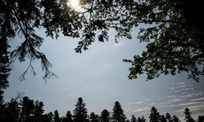 Le mercure flirte avec les 40°C, sept départements du Sud en alerte rouge canicule