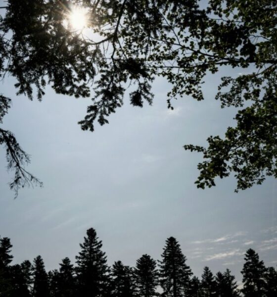 Le mercure flirte avec les 40°C, sept départements du Sud en alerte rouge canicule