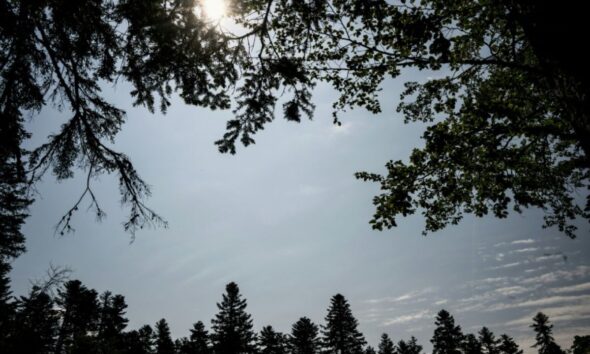 Le mercure flirte avec les 40°C, sept départements du Sud en alerte rouge canicule