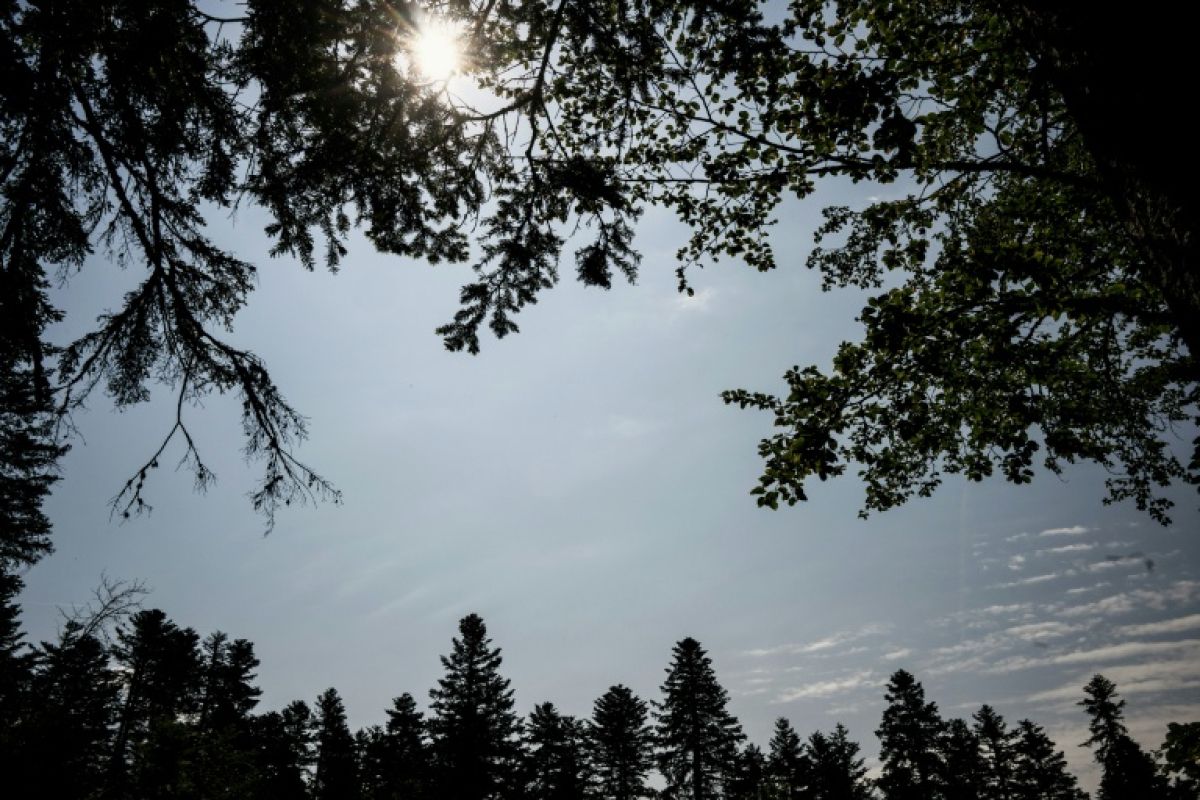 Le mercure flirte avec les 40°C, sept départements du Sud en alerte rouge canicule