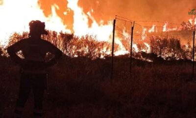 Un feu géant dévore 26 000 hectares dans le centre de l'Espagne
