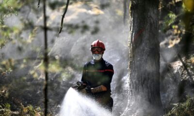 Le feu couvait sous terre et vient de reprendre en forêt de Fontainebleau