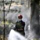 Le feu couvait sous terre et vient de reprendre en forêt de Fontainebleau