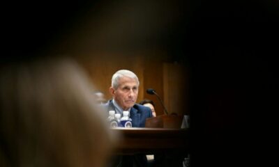 Anthony Fauci oppose un mur au Sénat et invoque son droit au silence